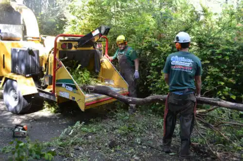 tree services Mattoon